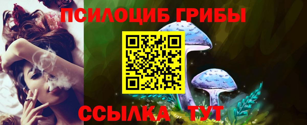 где можно купить наркотик  Вход с VPN  Кинель  Псилоцибиновые грибы прущие грибы  Галлюциногенные грибы GOLDEN TEACHER 
